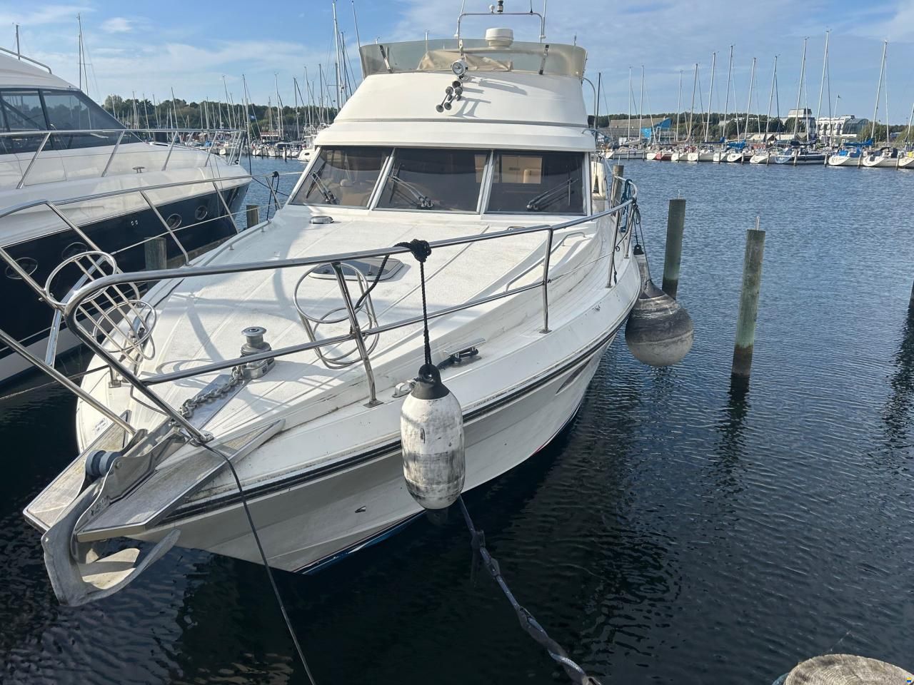 Princess 435
