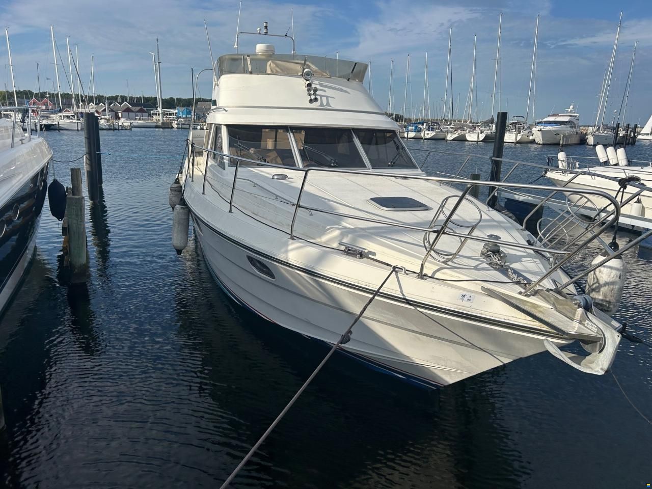 Princess 435