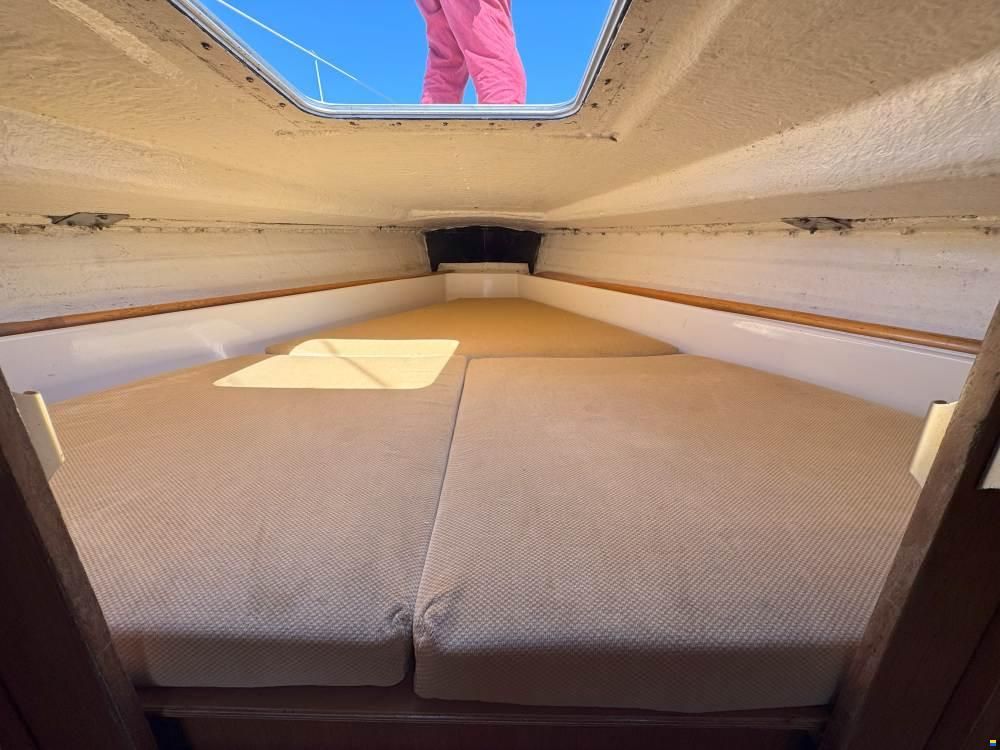 Scampi 30-3 Mk III