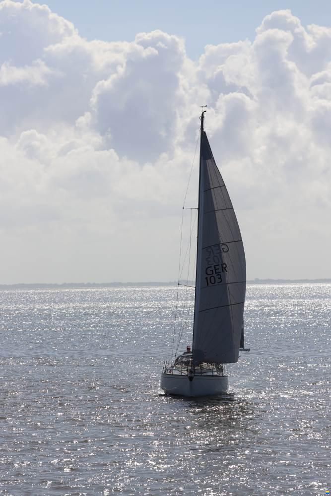 Scampi 30-3 Mk III