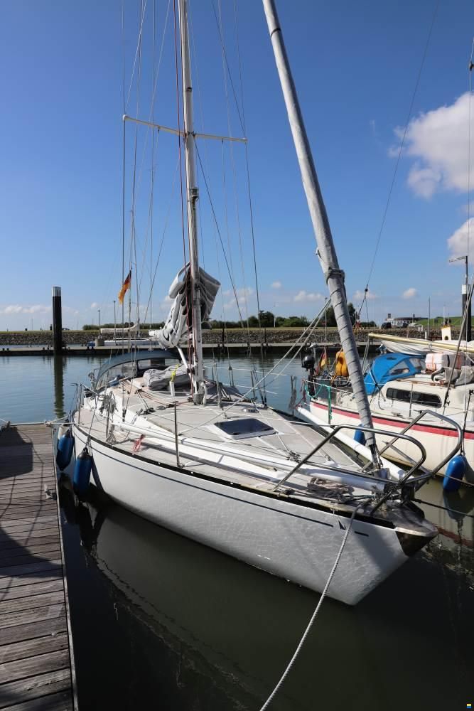 Scampi 30-3 Mk III