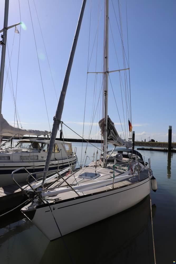 Scampi 30-3 Mk III