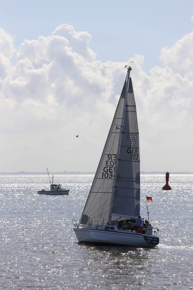 Scampi 30-3 Mk III