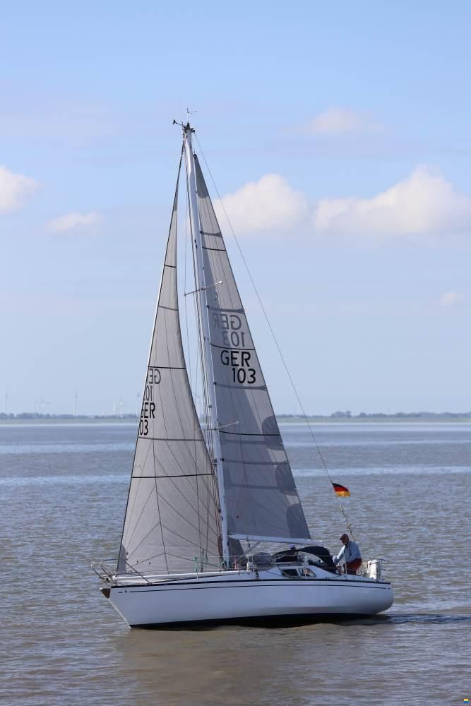 Scampi 30-3 Mk III