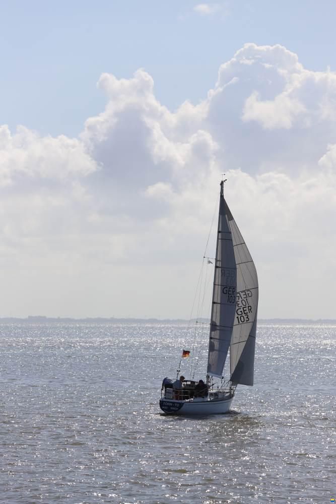 Scampi 30-3 Mk III