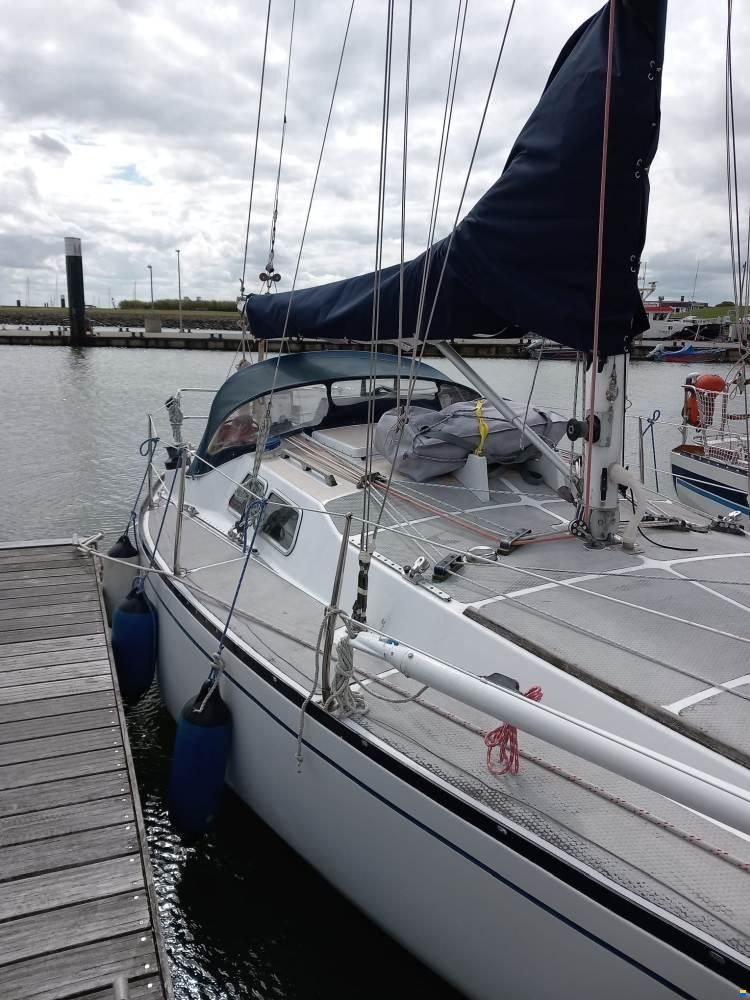 Scampi 30-3 Mk III