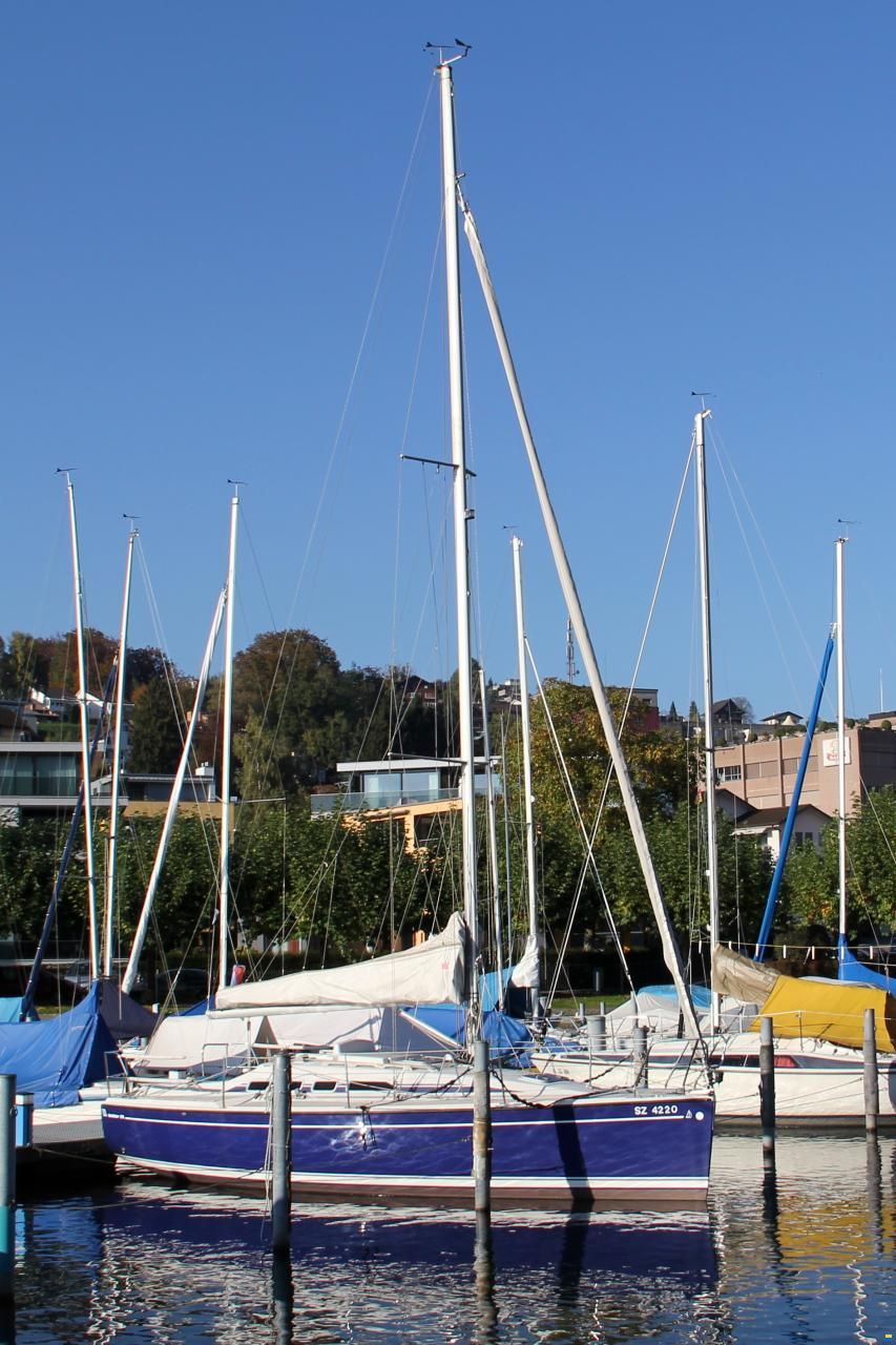 Dehler D29