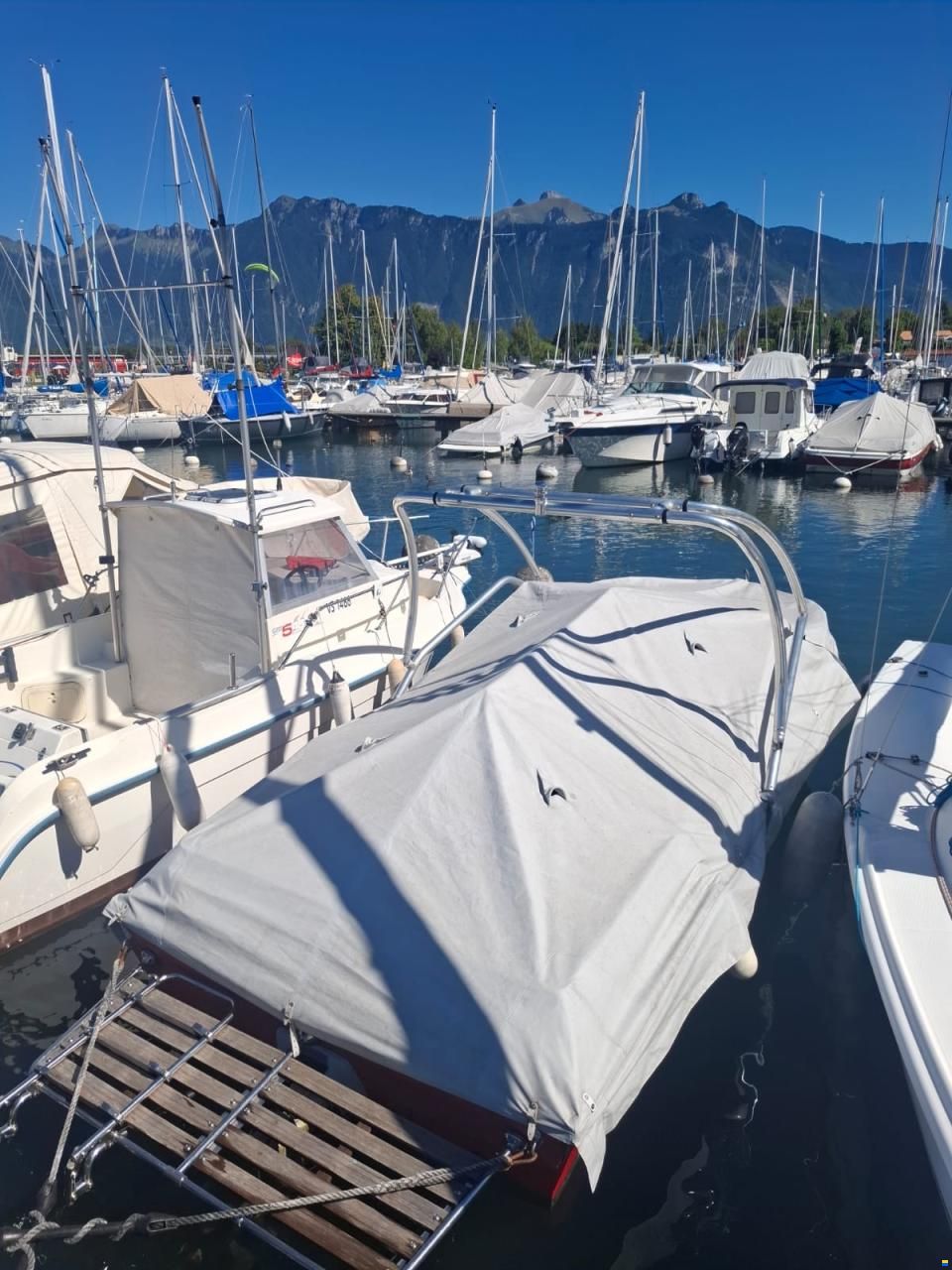 Schweizer Bateaux Saphir 560 Colombia