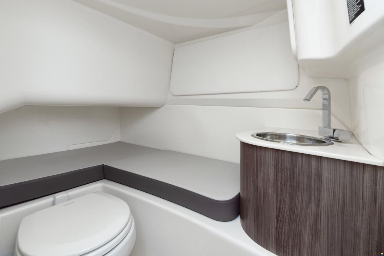 Sea Ray SDX 270