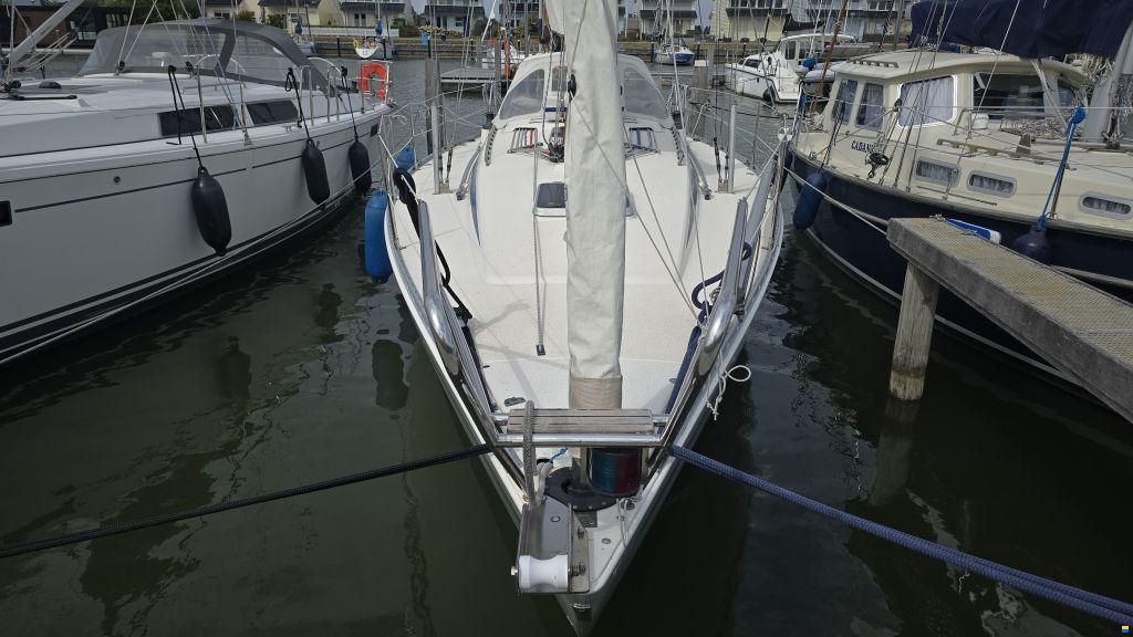 Finngulf 36