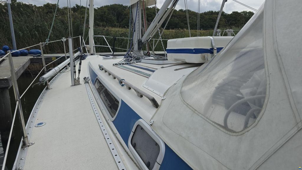 Finngulf 36