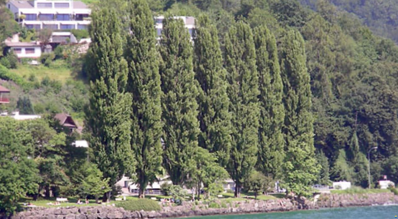 Exklusiver Hallenplatz