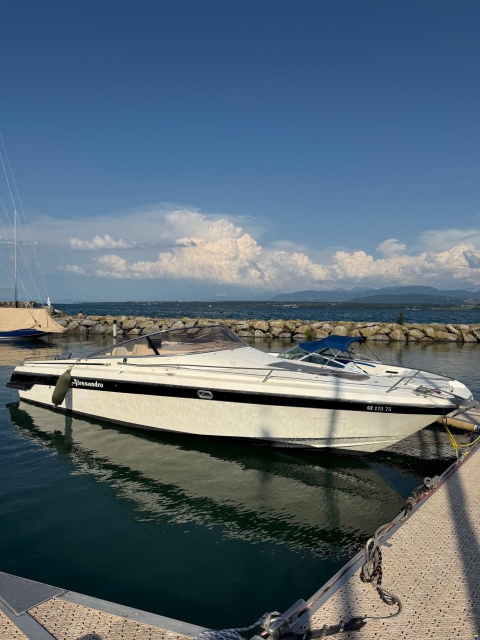 Cranchi Endurance 31