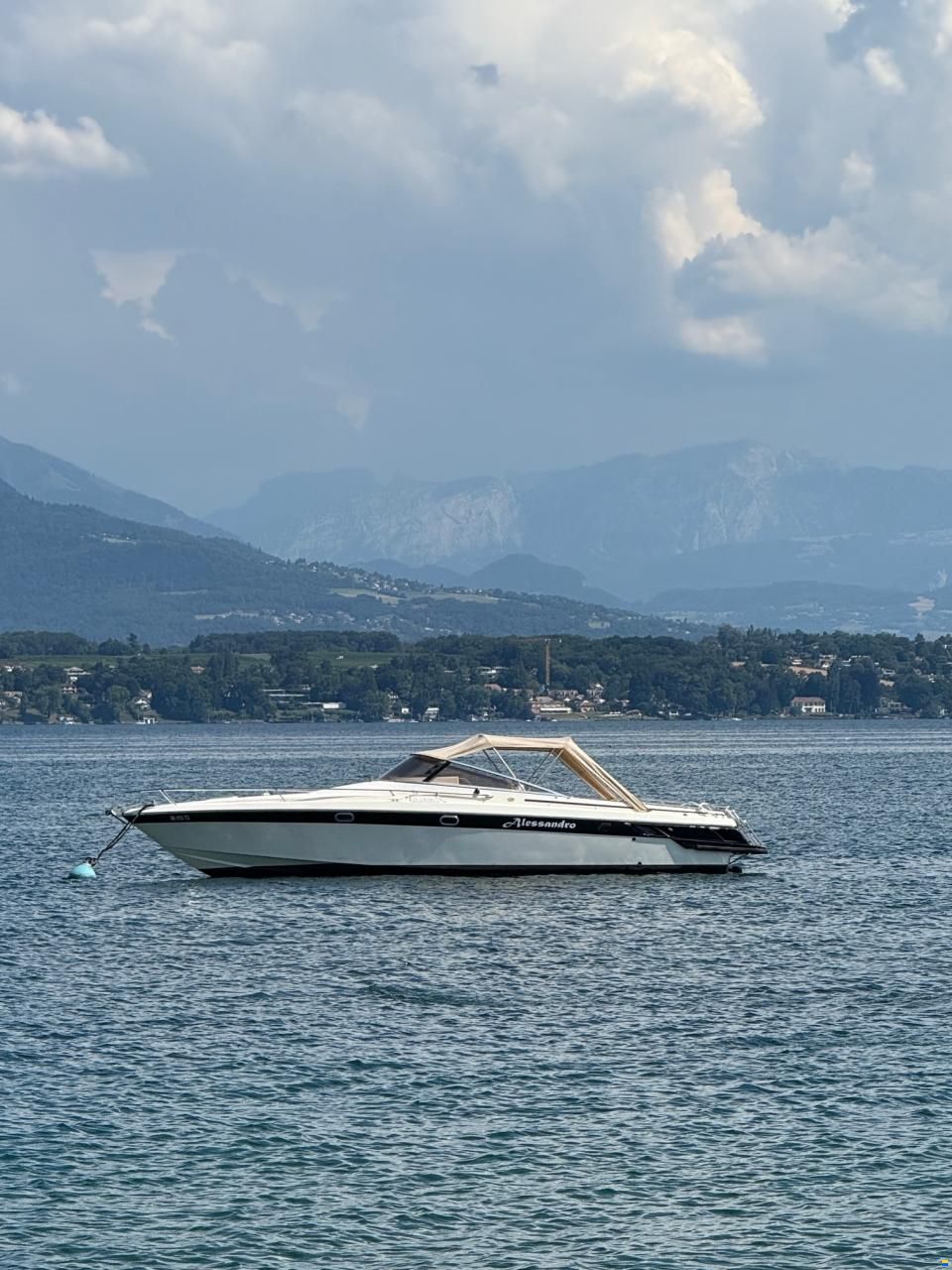 Cranchi Endurance 31