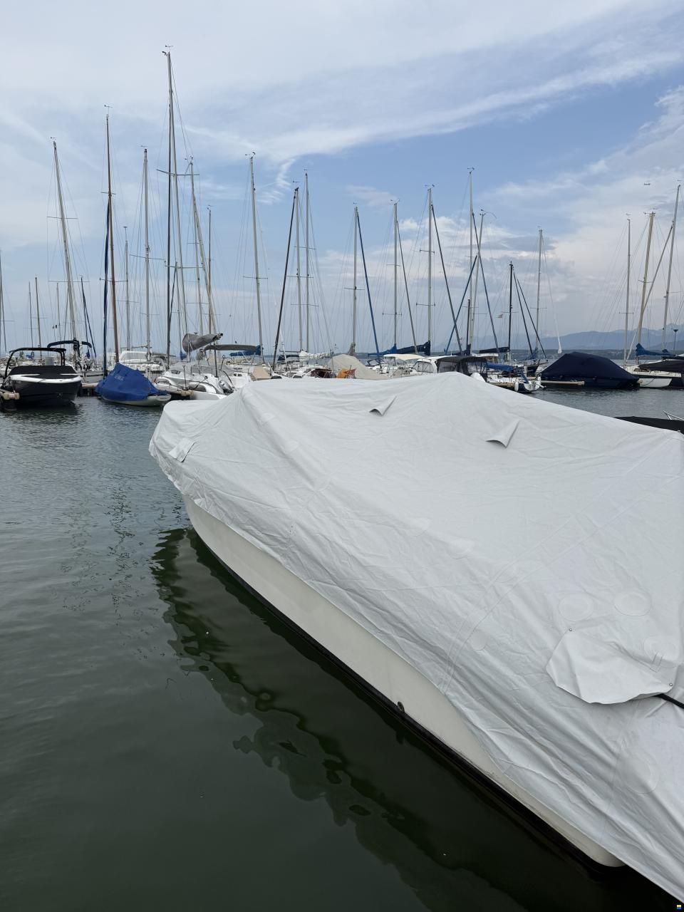 Cranchi Endurance 31