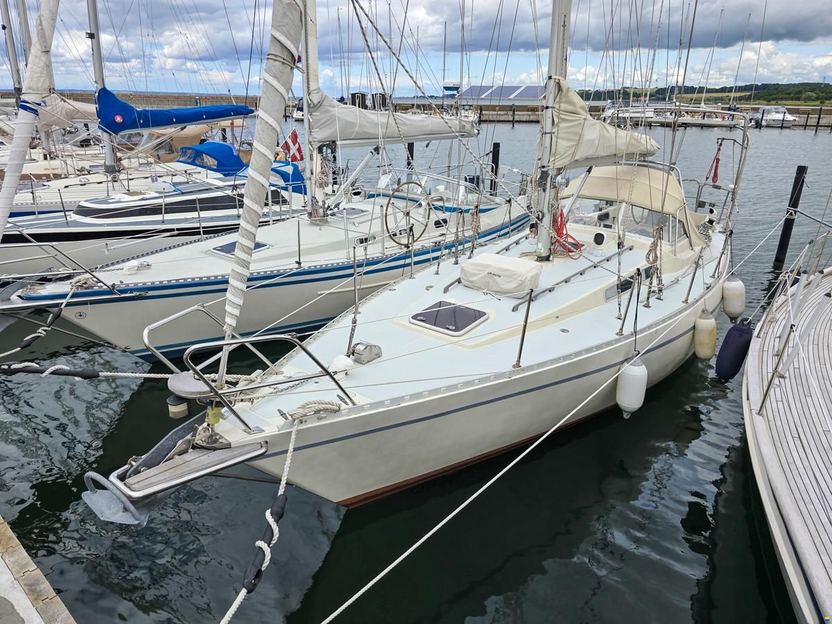 Forgus 35