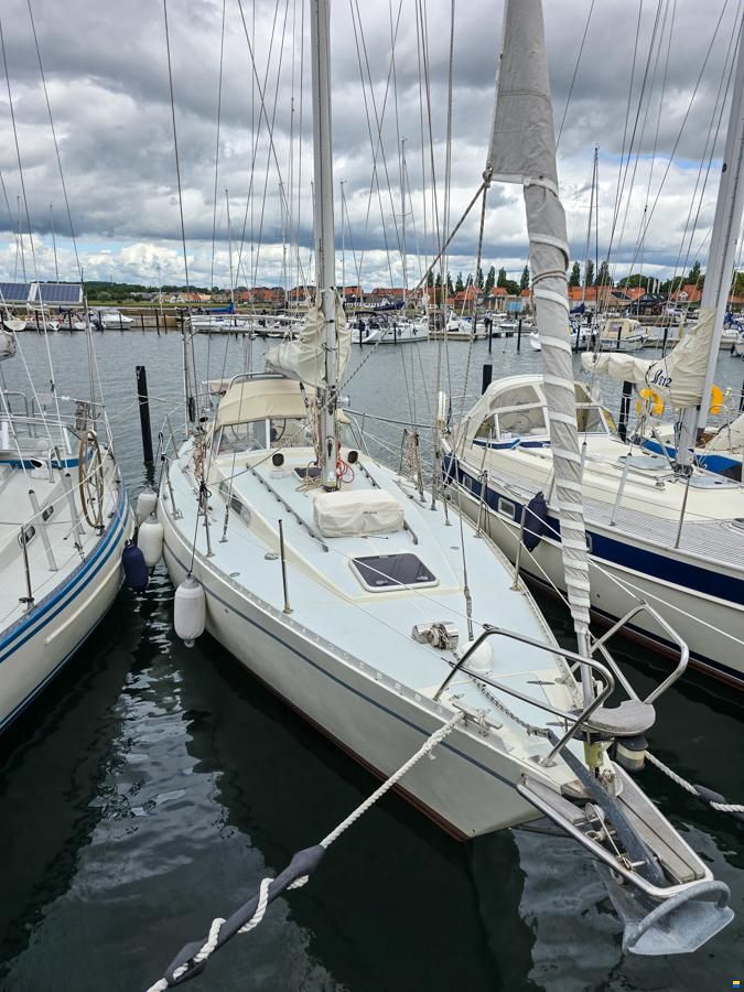 Forgus 35