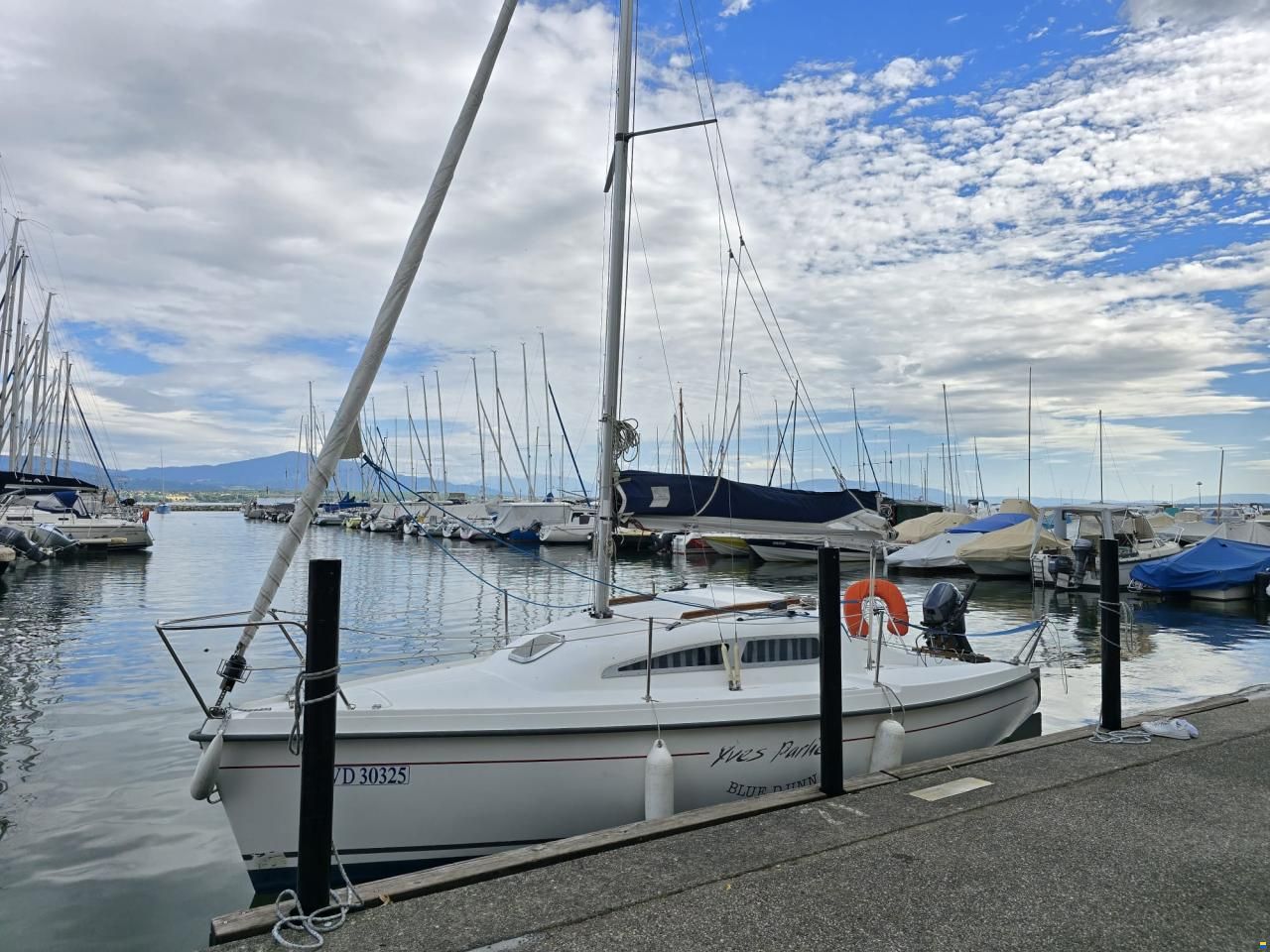 B2 Marine BLUE DJINN
