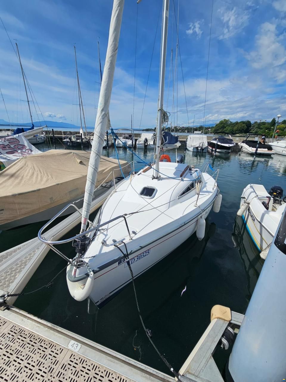 B2 Marine BLUE DJINN