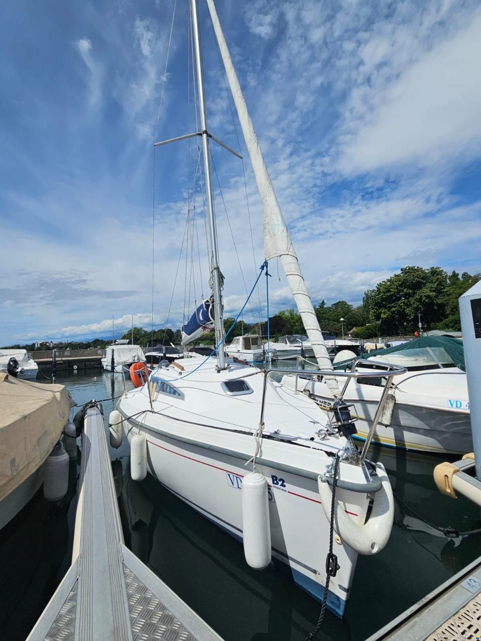 B2 Marine BLUE DJINN