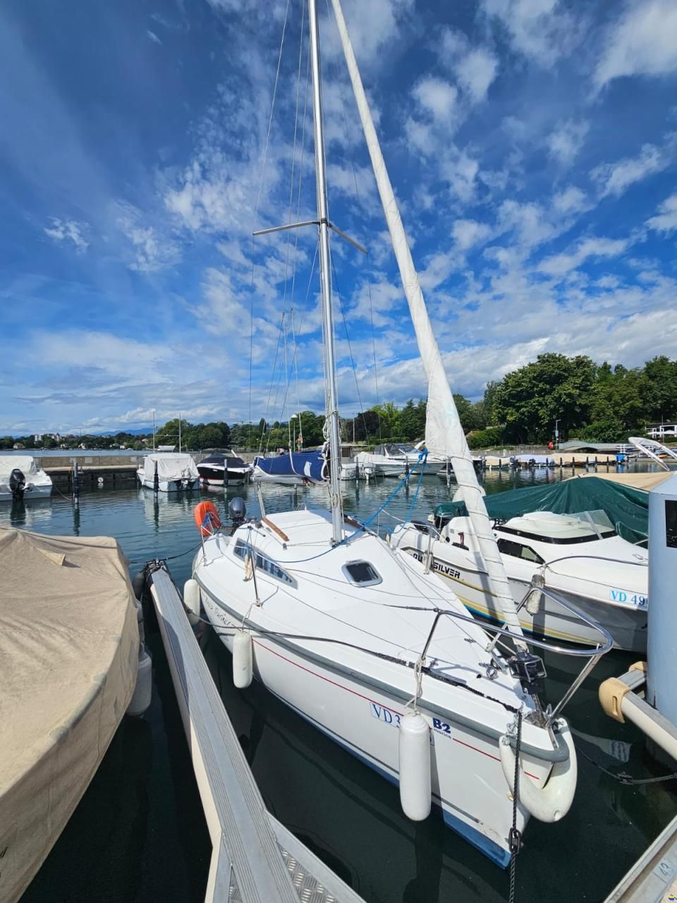 B2 Marine BLUE DJINN