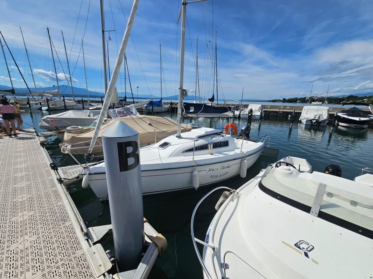 B2 Marine BLUE DJINN