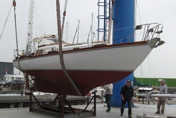 Delphin 66