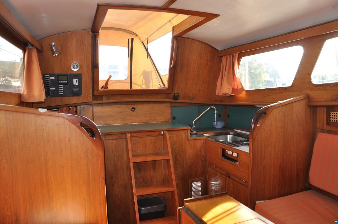 Delphin 66