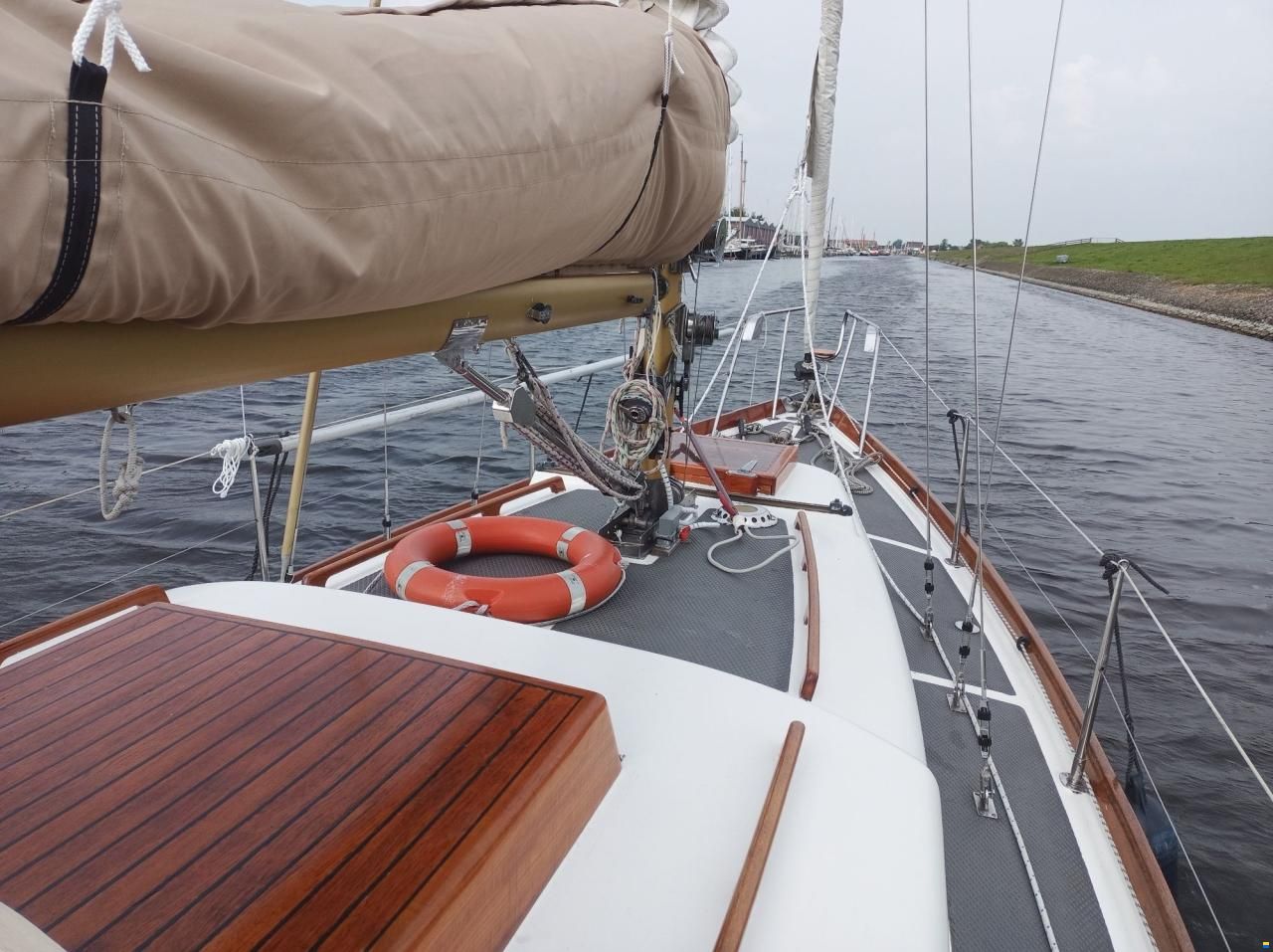 Delphin 66