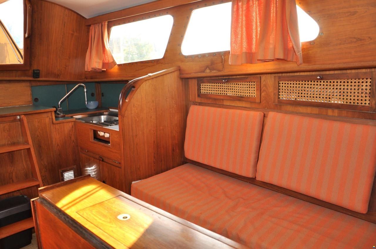 Delphin 66