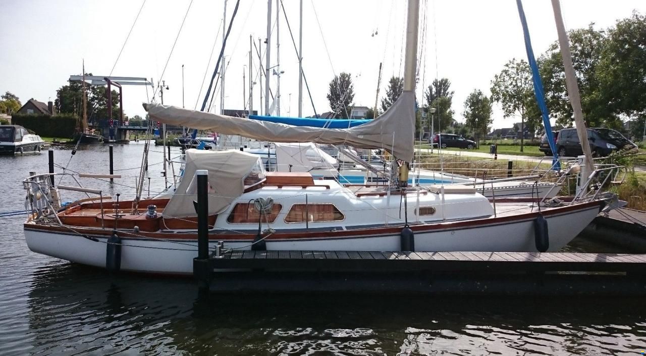 Delphin 66