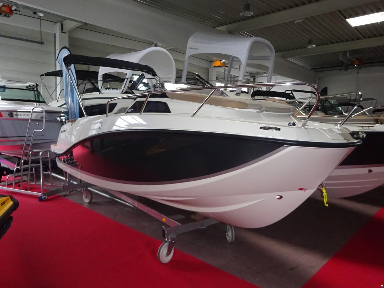 Quicksilver Activ 555 Cabin