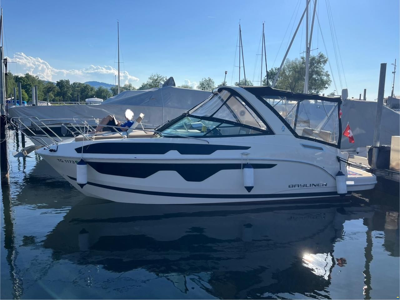 Bayliner Ciera 8