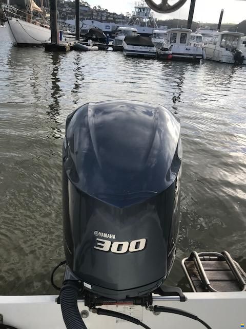 Ribeye S785