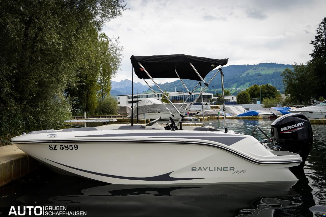 Bayliner M15