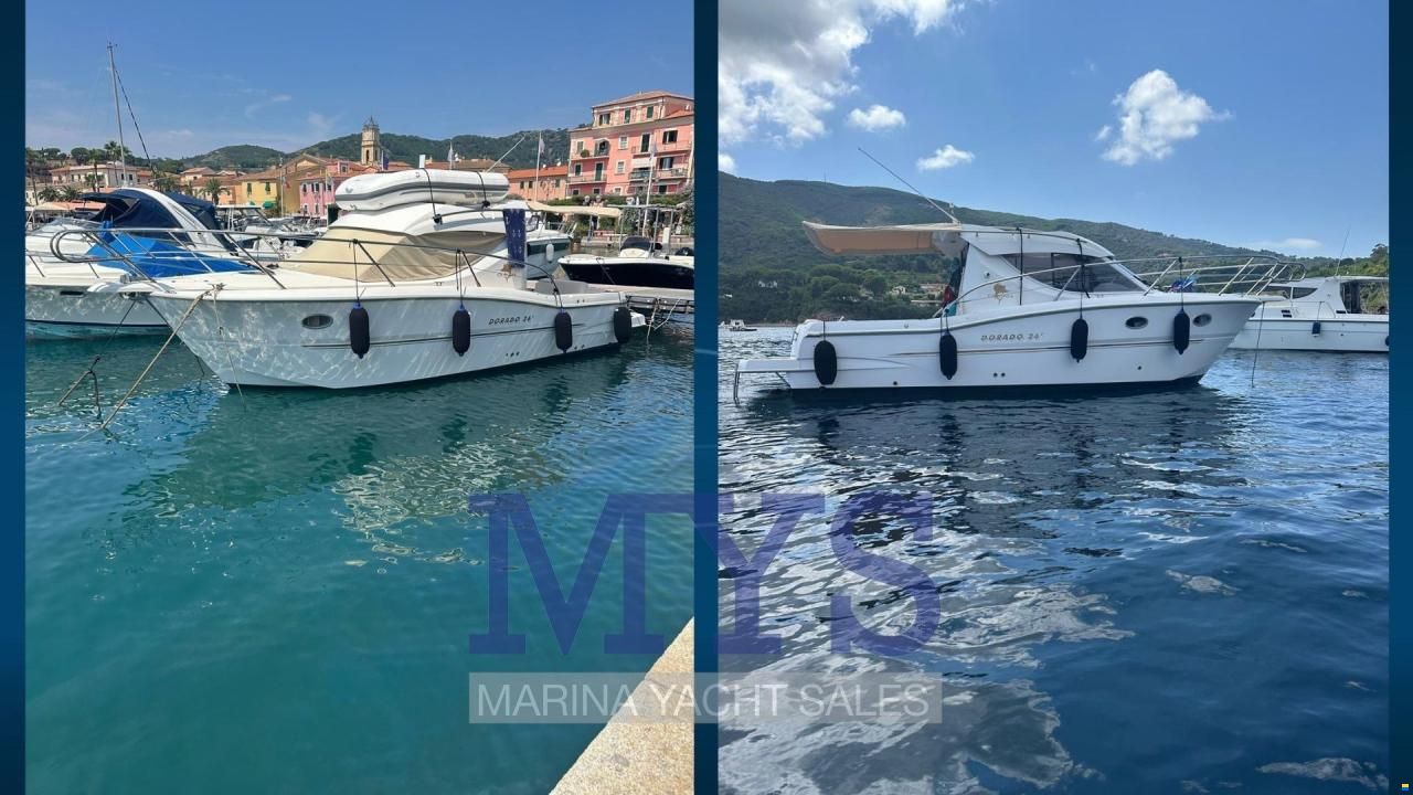 Sessa DORADO 26