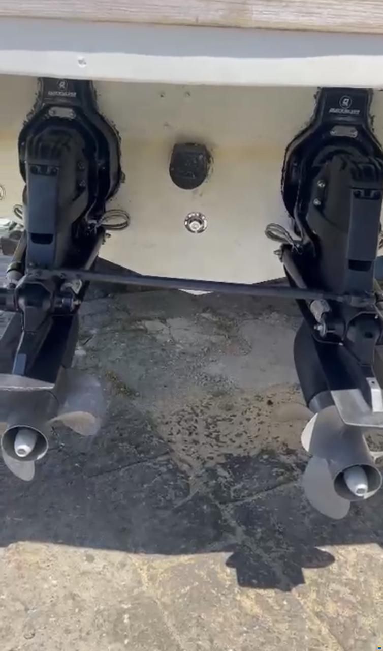 Albatro 32