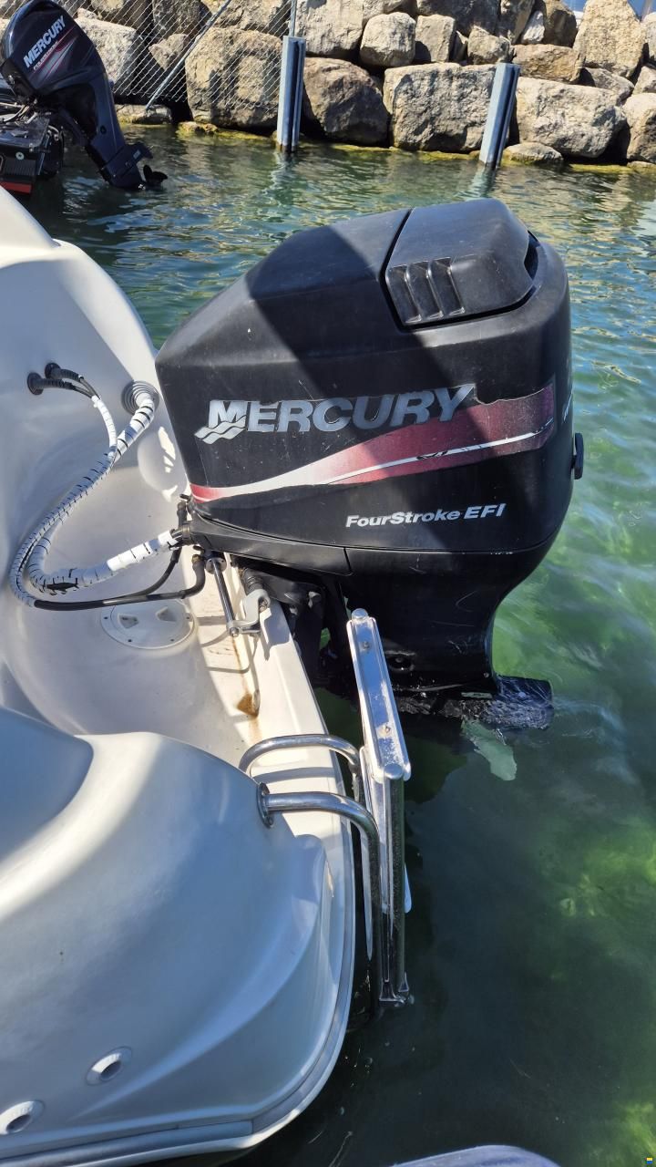 Quicksilver Commander 630 C