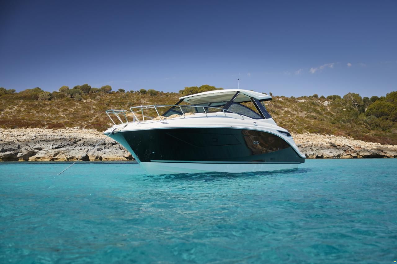 Sea Ray Sundancer 320