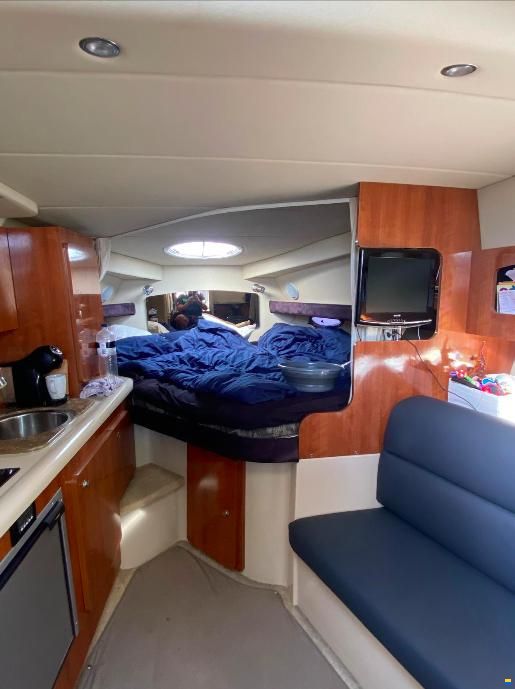 Cruisers 300 Cxi