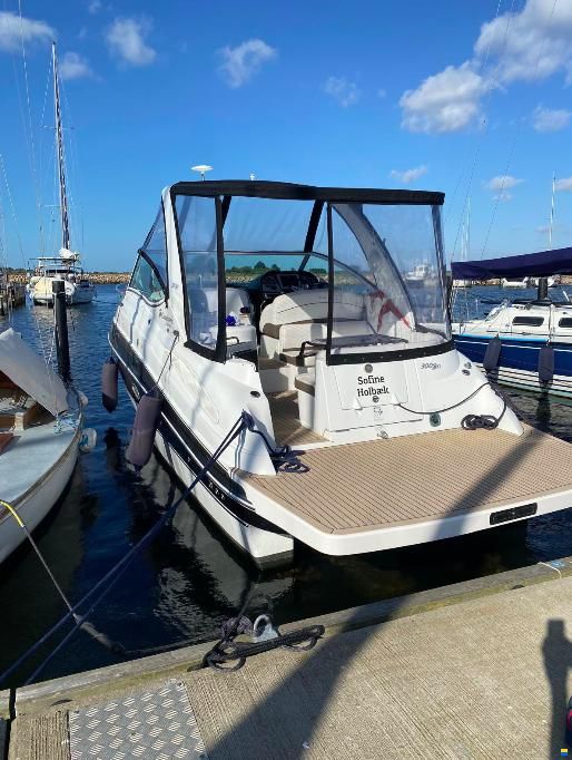 Cruisers 300 Cxi