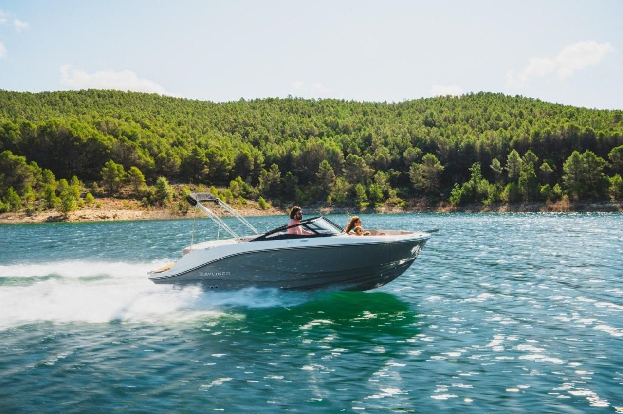 Bayliner V20I