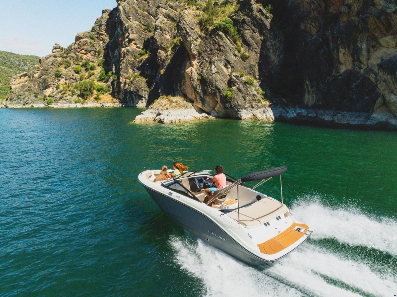 Bayliner V20I