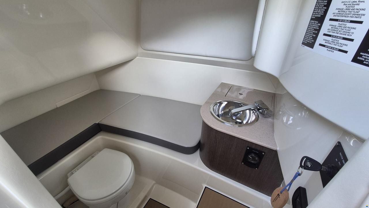 Sea Ray SDX 270 Surf