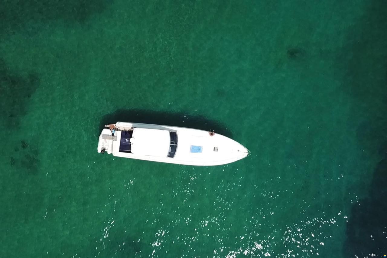 Alfamarine 58