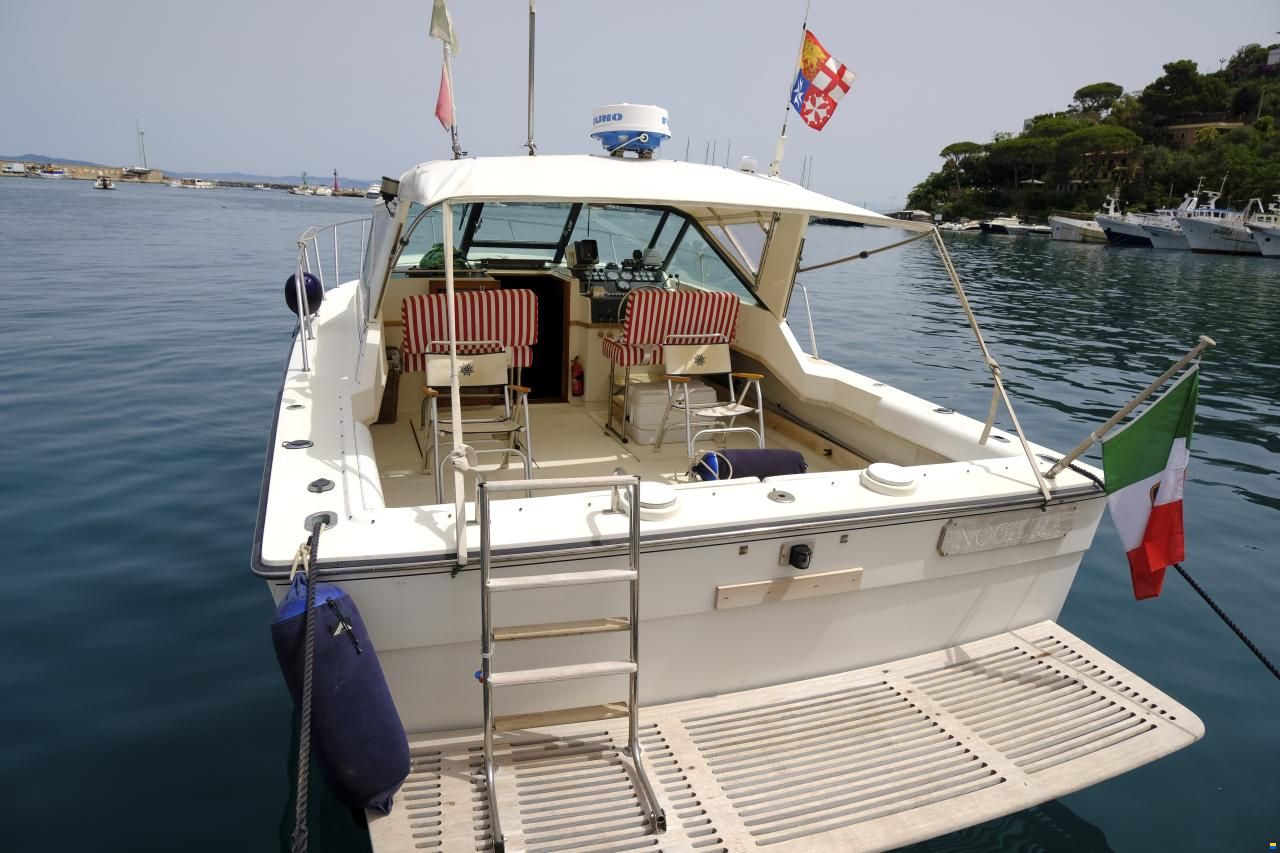 Tiara 31 Open