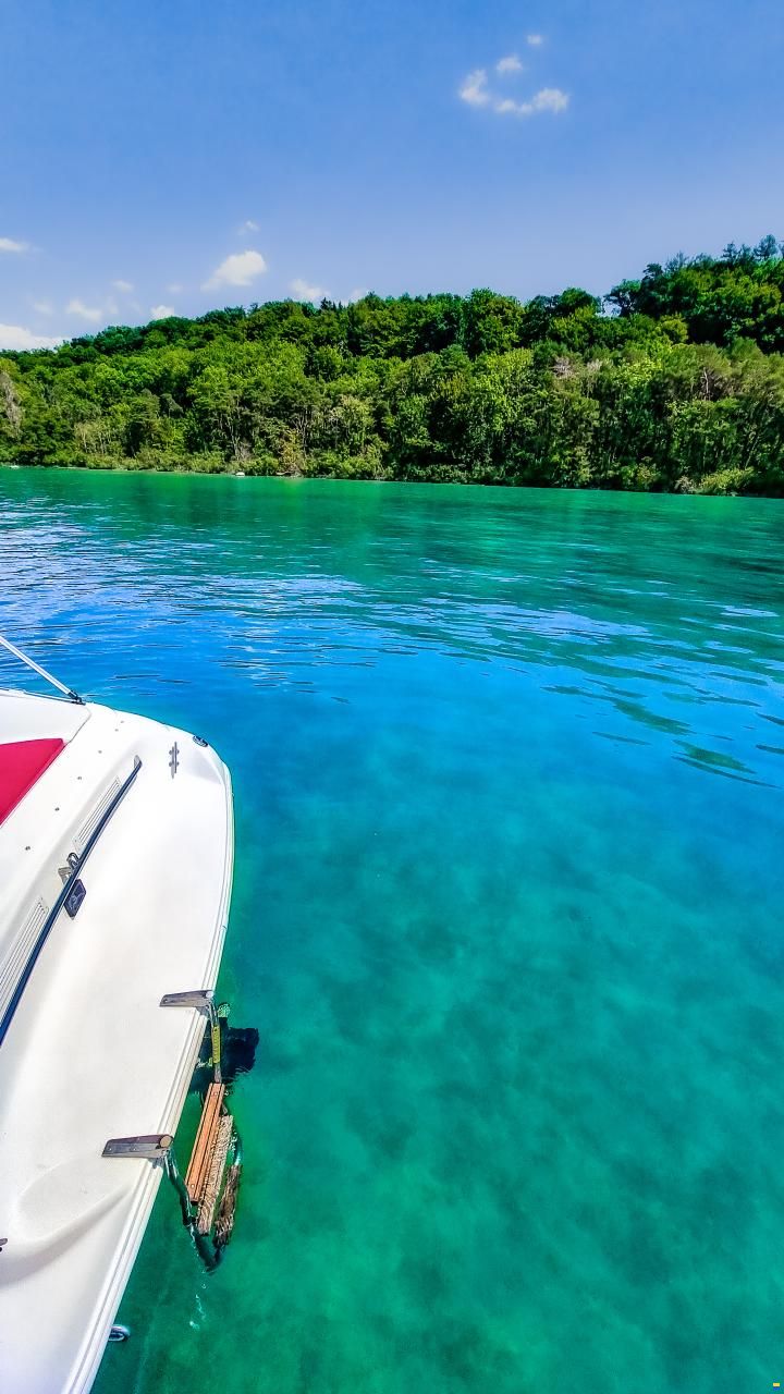 Rinker 212 Festival Cuddy