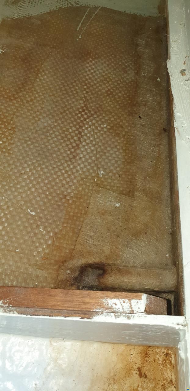 Archambault Bagheera