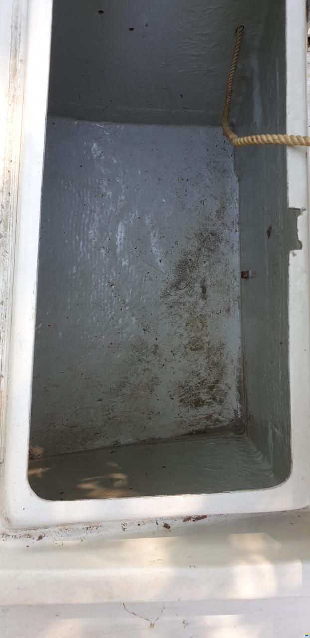 Archambault Bagheera