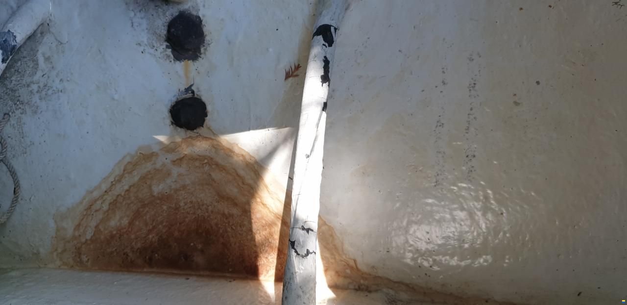 Archambault Bagheera